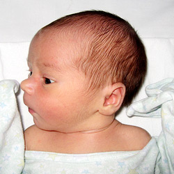 Picture of Jonah